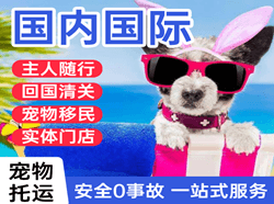 黄花空运国际宠物托运 【国